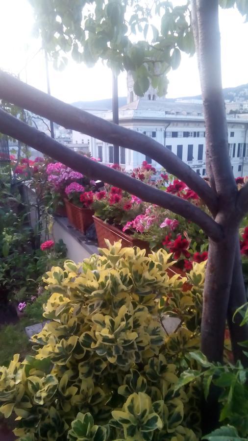Bed And Breakfast " La Terrazza" 제노바 외부 사진
